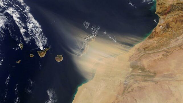 LOS EFECTOS DE LA CALIMA EN LA PIEL